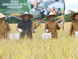 Pemkab Aceh Besar Targetkan Panen Padi Dua Kali Setahun, Harapan di Musrenbang